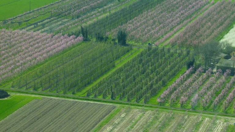 L’agricoltura diventa più green e punta alla sostenibilità