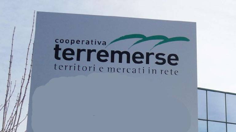 Sociale e ambiente: la chiave sostenibile di Terremerse