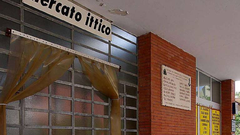 Rimini, mercato ittico: match col governo per i fondi