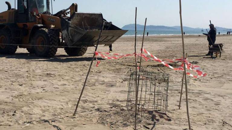 Riccione. Nidi dei fratini protetti, multe ai padroni dei cani