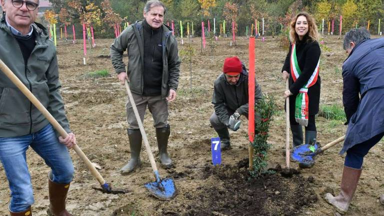 Piantumazione di alberi e raccolta di plastica. Il welfare è green