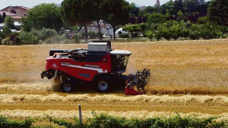 Cesena, lavoratori agricoli introvabili: Disastro da evitare