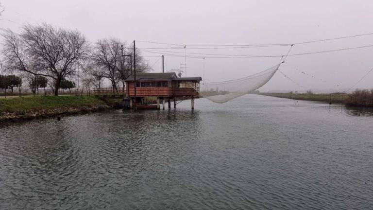 Capanni, situazione di stallo. Incontro in Comune a Ravenna