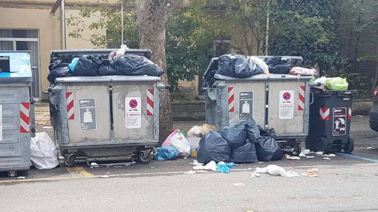 Cesenatico, l'immondizia in pasto ai gabbiani