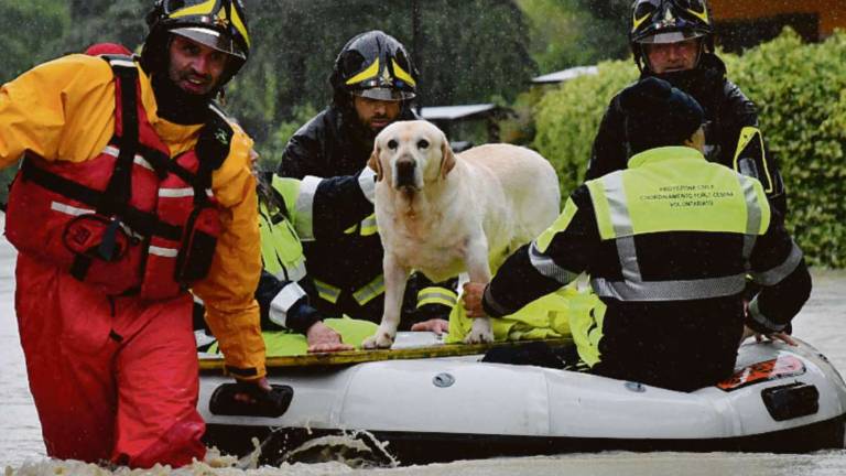 Forlì, apocalisse di acqua e fango in Appennino, paesi isolati