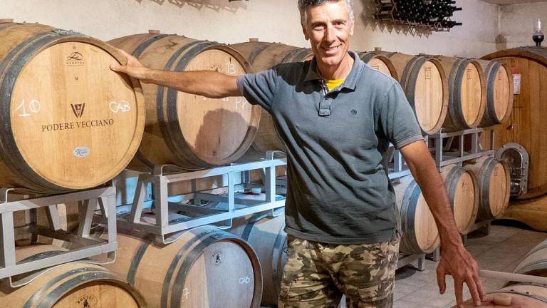 La vigna “organismo agricolo” e l’idea di vino del Podere Vecciano