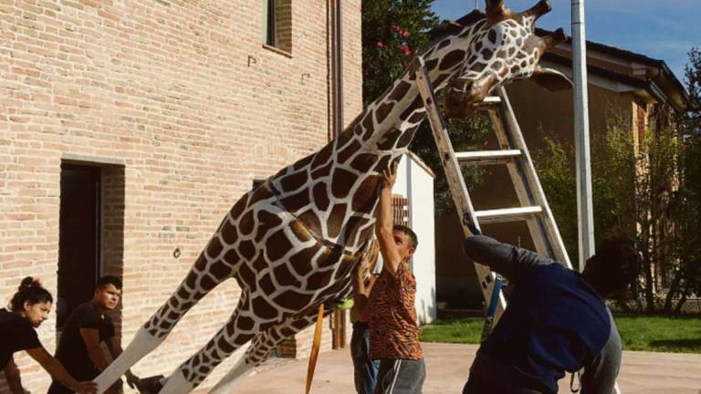 Proteste sui social: Smettetela di sfruttare gli animali nei circhi, ma era la giraffa finta di casa Fellini a Gambettola