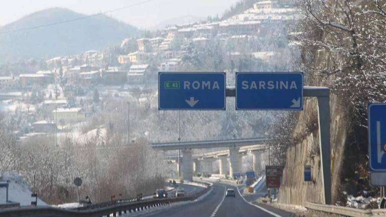 Sarsina, auto contro capriolo: paga la Regione