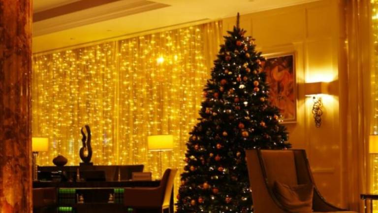 Rimini, si rifiuta di lasciare l'albergo a 4 stelle e abbatte l'albero di Natale: 10mila euro di danni