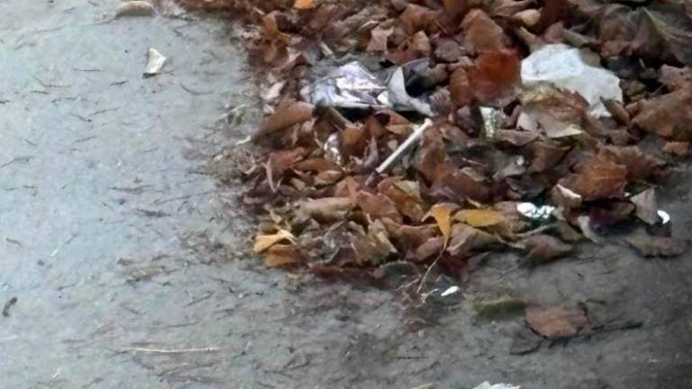 Siringa e sporcizia sotto il viadotto Kennedy