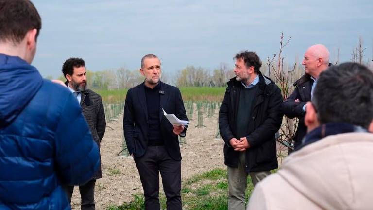 Cesena, a San Vittore una micro-foresta: nasce la “Tiny Forest”