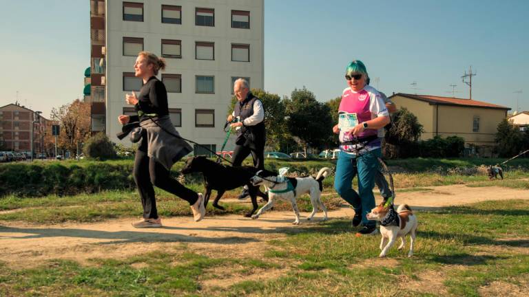 Ravenna. Dogs &amp; Run, la “corsa a 6 zampe”. FOTOGALLERY