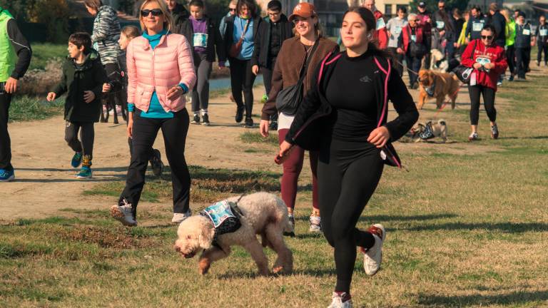 Ravenna. Dogs &amp; Run, la “corsa a 6 zampe”. FOTOGALLERY