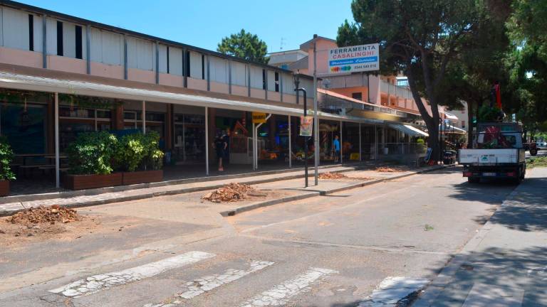 Lido di Savio, via all’abbattimento dei pini in viale Romagna - Gallery