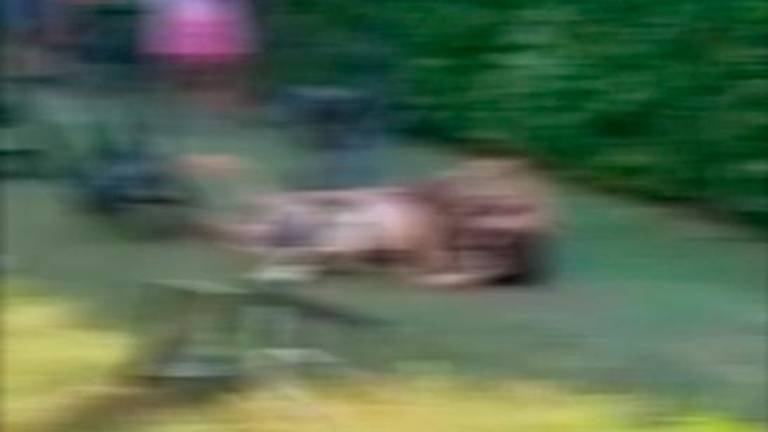 Un frame della rissa fra ragazzine