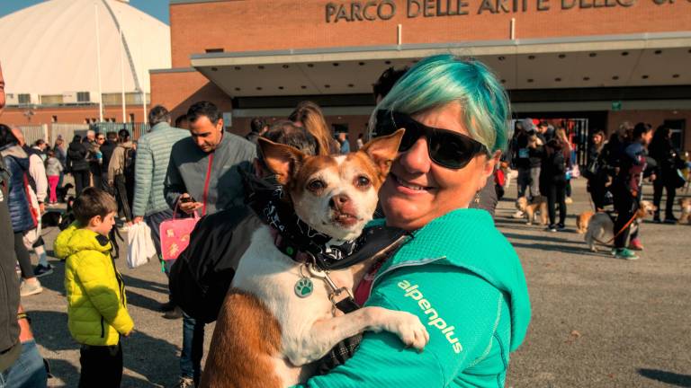 Ravenna. Dogs &amp; Run, la “corsa a 6 zampe”. FOTOGALLERY