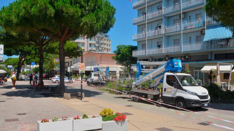Lido di Savio, via all’abbattimento dei pini in viale Romagna - Gallery