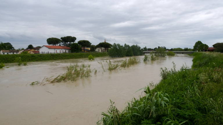 Cesena: da domani a fine anno in mostra tutte le stagioni del fiume Savio