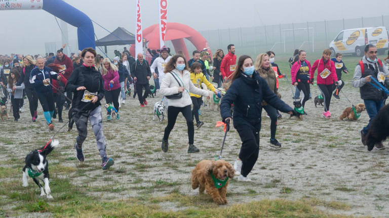 Ravenna, tutti di corsa con il cane aspettando la maratona