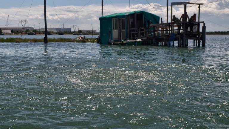 Ravenna, morìa di pesci: sospeso l’approvvigionamento idrico dal Lamone
