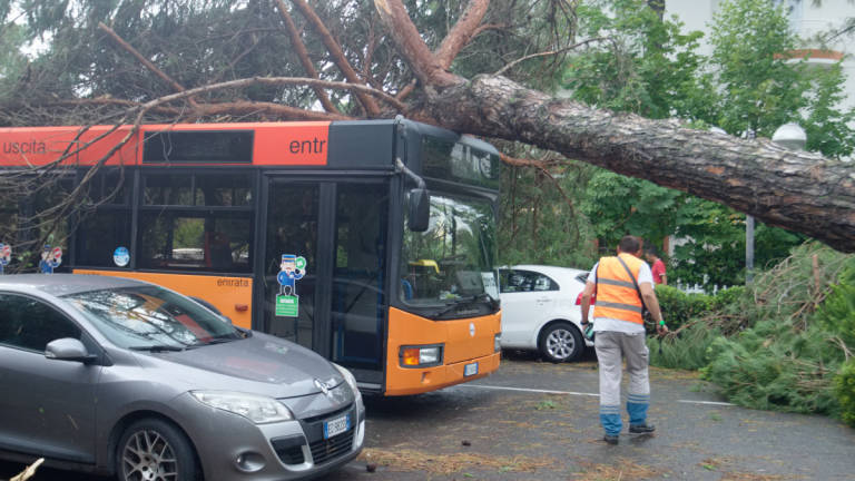 MiMa, bus navetta estivo riparte dal 4 giugno