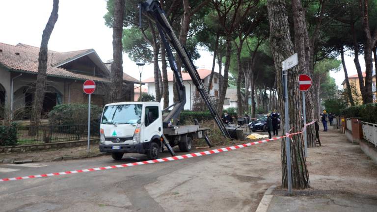 Cervia. Precipitò potando i pini. Chiesta condanna per Deltambiente