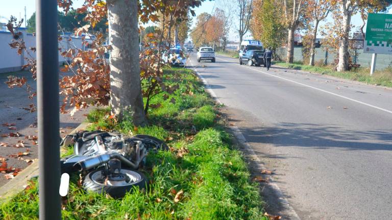 Foto Massimo Fiorentini