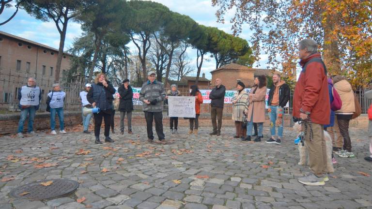 La protesta per gli alberi (Fotoservizio Massimo Fiorentini)