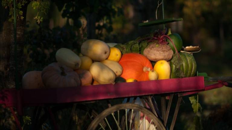 Bagnacavallo, ditta regala frutta e verdura a chi raccoglie mozziconi