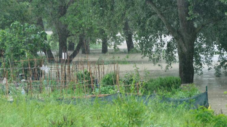 Alluvione e granchio blu: 7 milioni ad agricoltori e pescatori dalla Regione Emilia-Romagna