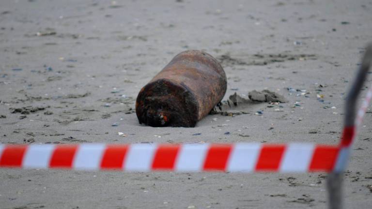 Foto Massimo Fiorentini