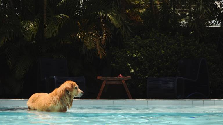 Poggio Torriana: riempie la piscina in giardino in barba ai divieti, scatta la multa