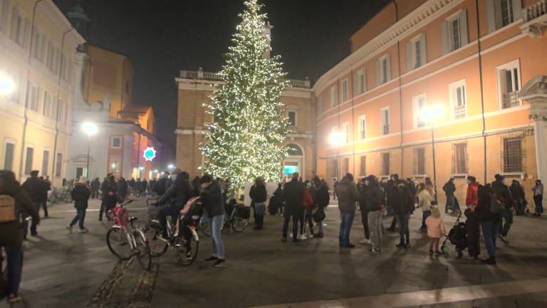 Archivio, Massimo Fiorentini