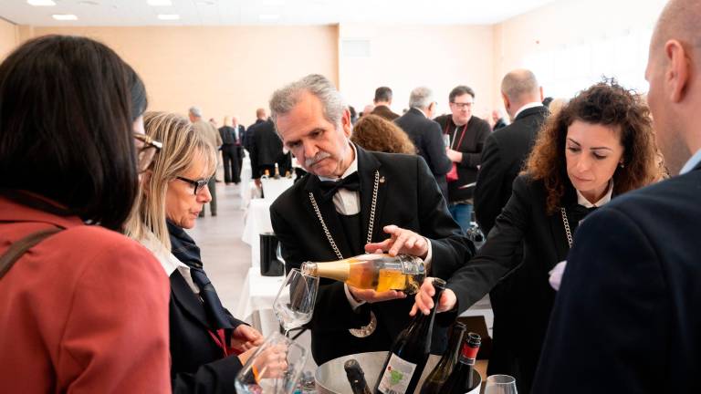 Cesena Fiera, sommelier in festa il 29 novembre: Ais celebra i 60 anni