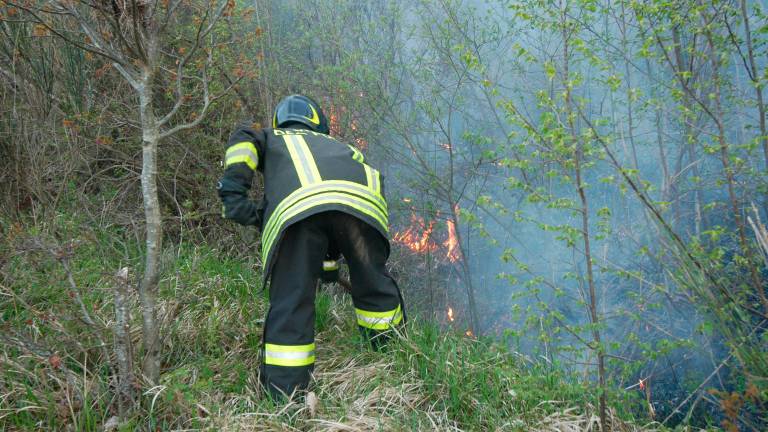 Forlì-Cesena, stagione positiva per gli incendi: calano le superfici distrutte