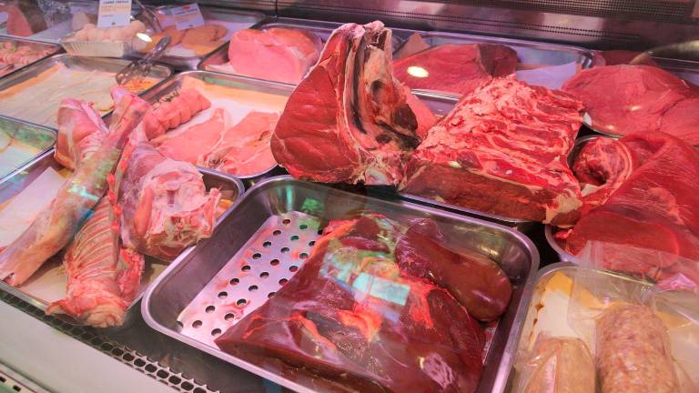 Forlì-Cesena, in forte calo tabaccherie, edicole e macellerie