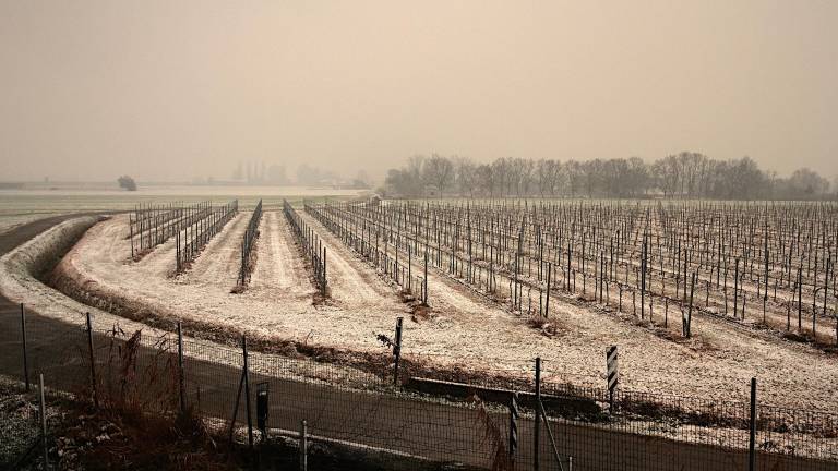Ravenna. Strade imbiancate e auto coperte di neve. FOTOGALLERY Fiorentini