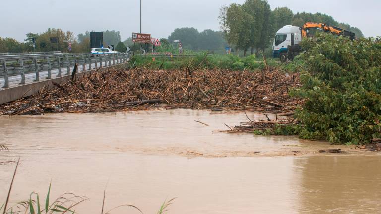 Il livello idrometrico del fiume Santerno rilevato nei pressi di San Bernardino
