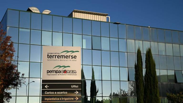 Terremerse, dal 2021 sarà organizzazione di produttori