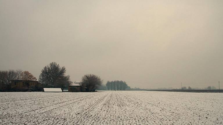 Ravenna. Strade imbiancate e auto coperte di neve. FOTOGALLERY Fiorentini