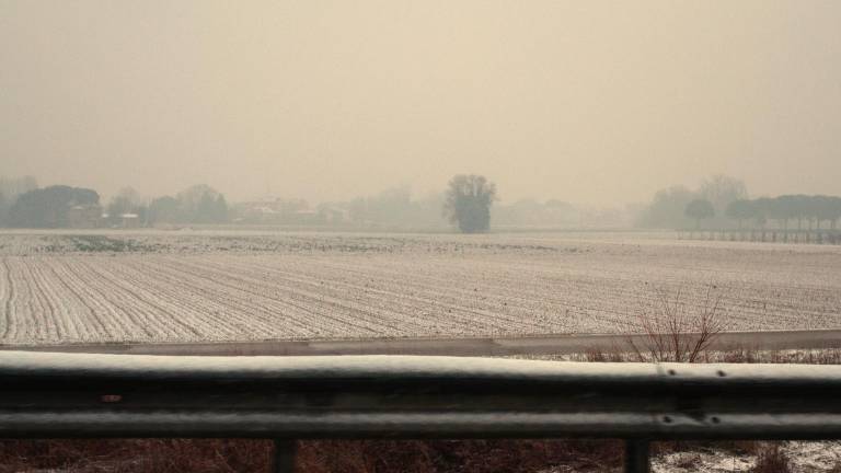 Ravenna. Strade imbiancate e auto coperte di neve. FOTOGALLERY Fiorentini