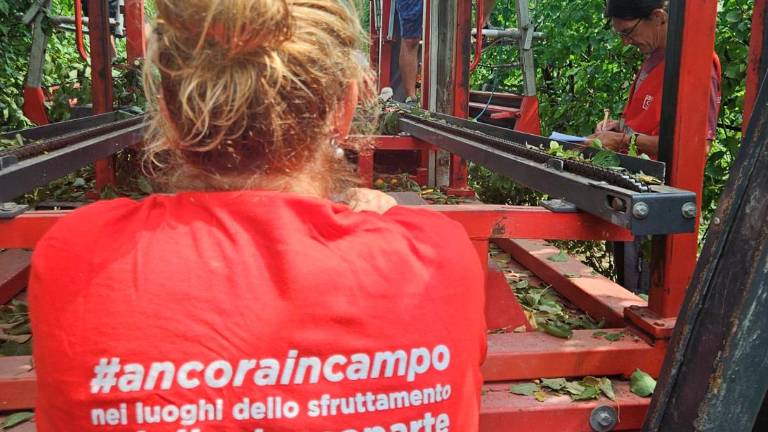 Ravenna, “lavoratori pagati 4 euro all’ora”: dopo la condanna dei caporali, arrivano le retribuzioni arretrate