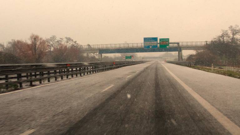 Ravenna. Strade imbiancate e auto coperte di neve. FOTOGALLERY Fiorentini