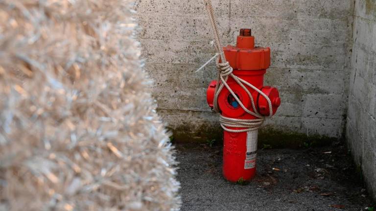 Forlì, l’albero di Natale ancorato a un idrante ne limita l’accesso e la sicurezza