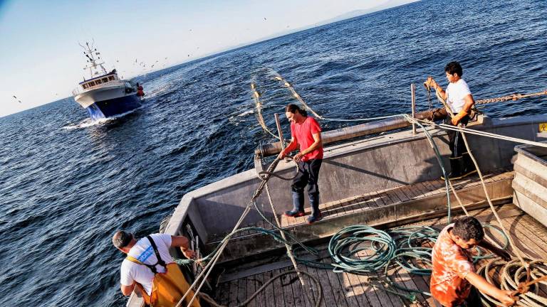 La pesca “a volante” è sempre meno praticata: oggi sono tre le coppie di barche a farla, contro le 5 dei primi anni 2000