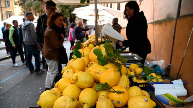 Forlì celebra il compatrono San Pellegrino FOTOGALLERY