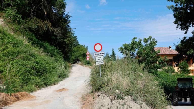 Roncofreddo, sopralluogo sulle frane con De Pascale GALLERY