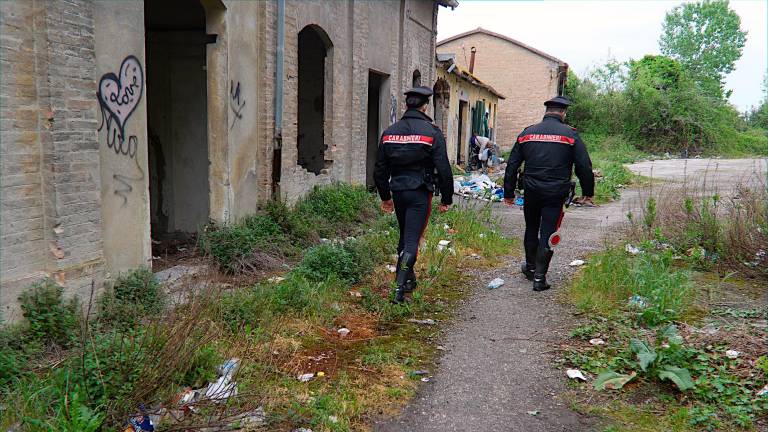 Foto e video Massimo Fiorentini