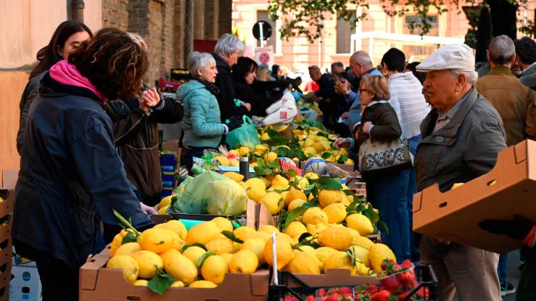 Forlì celebra il compatrono San Pellegrino FOTOGALLERY