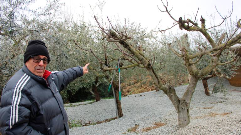 Borghi, camion si ribalta nel cortile di una casa: “Salvo perché richiamato da mia moglie”